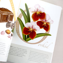 Load image into Gallery viewer, Alpabetong Filipino