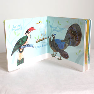 A First Look at Philippine BIRDS, BUTTERFLIES, FISHES (Board Book Edition)