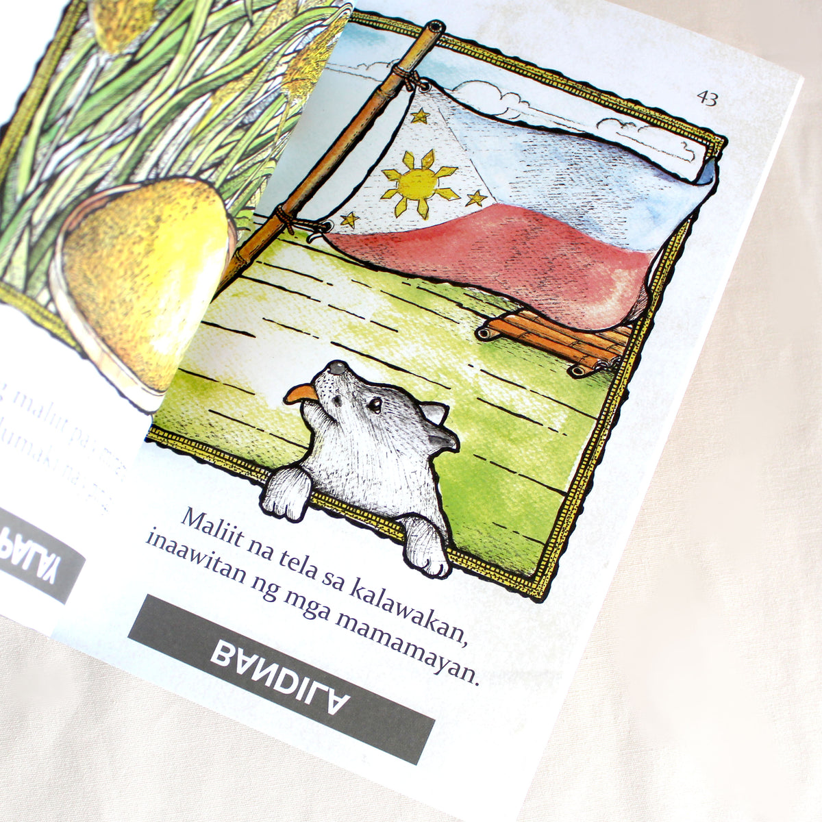 Pinoy Riddles Book BUGTONG, BUGTONG 2: More Filipino Riddles – Tahanan Books Corporation - US